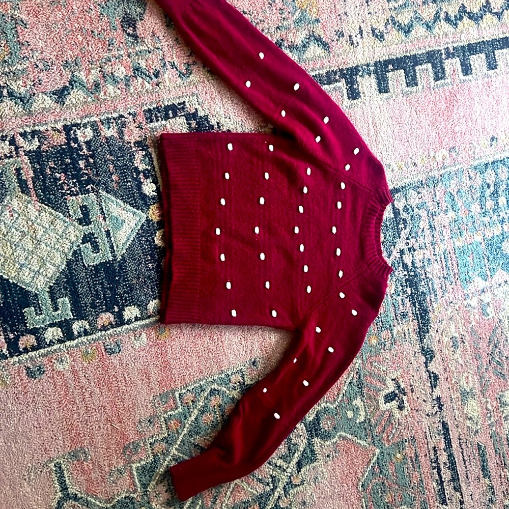 Xs sweater from Francesca’s
